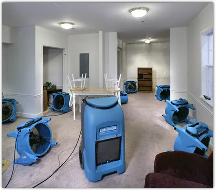 Water Damage Restoration services in Sussex, WI