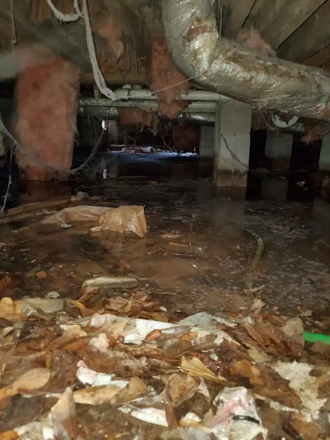 Crawl space flood assessment for Leak Detection & Repair in Sussex