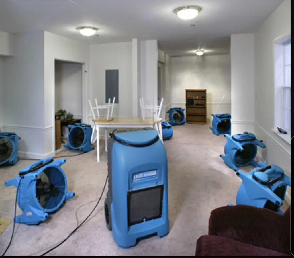 Air movers and dehumidifier setup for Water Extraction & Removal in Sussex