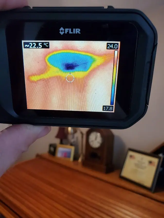 Thermal imaging inspection for water damage in Sussex