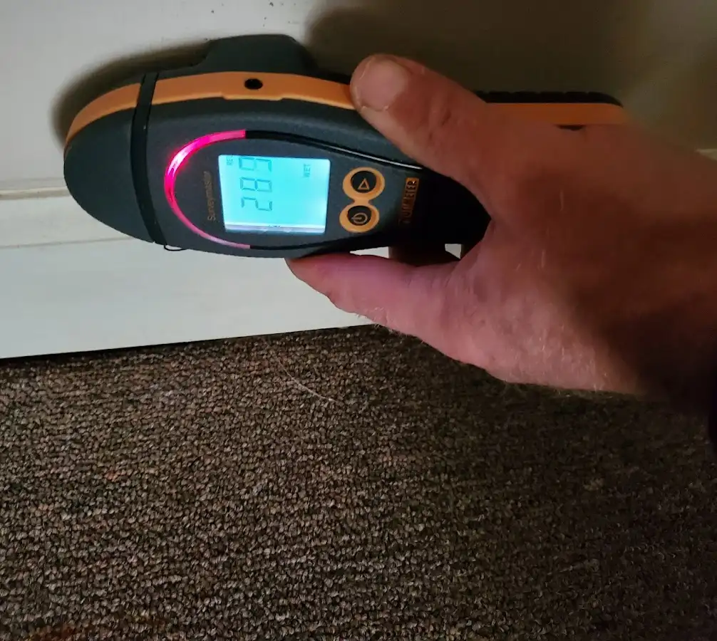 Moisture detection at baseboard during Sewage Cleanup & Sanitation in Sussex